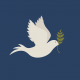 Dove-peace